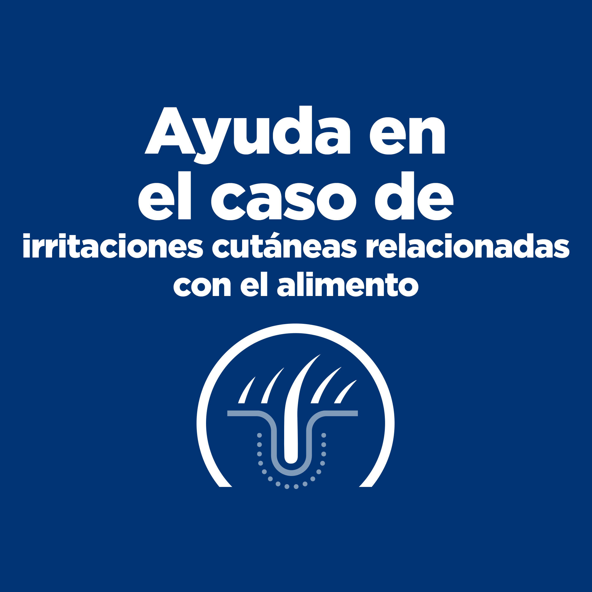 6 kg Hill's Prescription Diet z/d Food Sensitive ra&ccedil;&atilde;o para gatos, , large Imagem n&uacute;mero 5